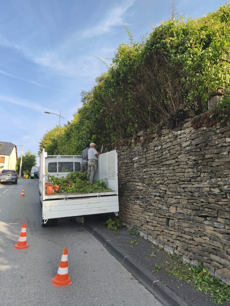 Intervention espace vert sur une haie