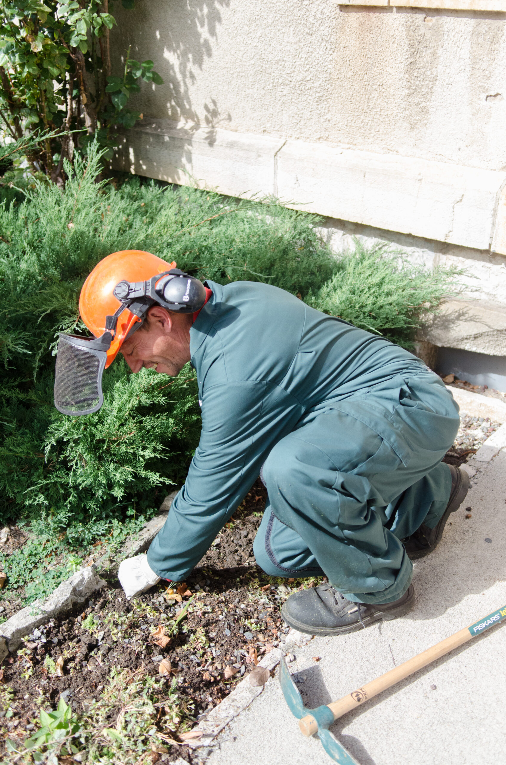Plantation dans un jardin